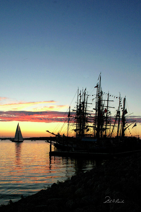 Tall Ships at Rest Photograph by Frederic A Reinecke
