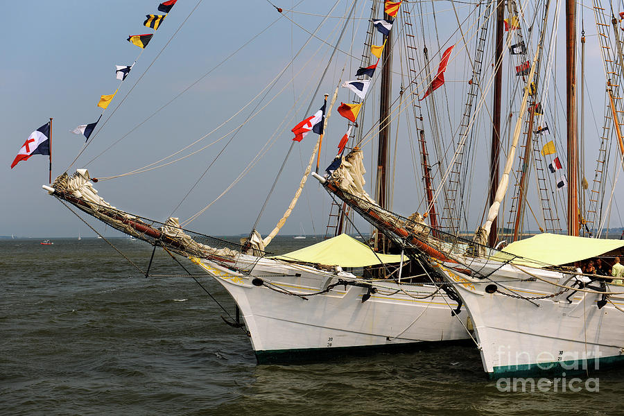 Tall Ships Southern Breeze Photograph