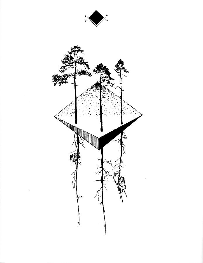 Tall Trees Drawing by Xavier Neff - Pixels