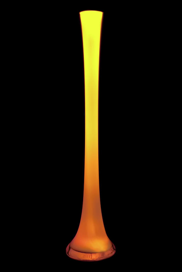 Vase Photograph - Tall Yellow Vase by Onyonet Photo studios