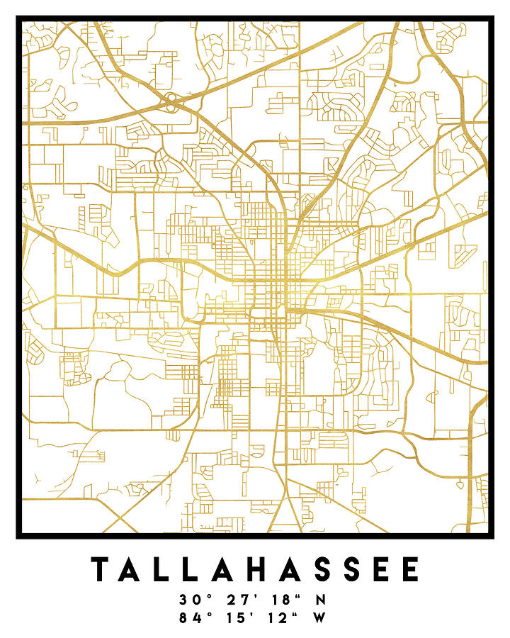 Tallahassee Florida City Street Map Art Digital Art by Emiliano ...