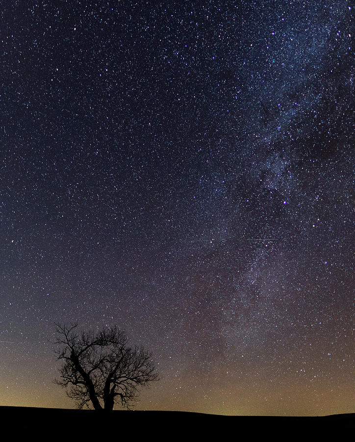 Tallgrass Prairie Preserve No. 6 Winter Milky Way Photograph by Jon Friesen
