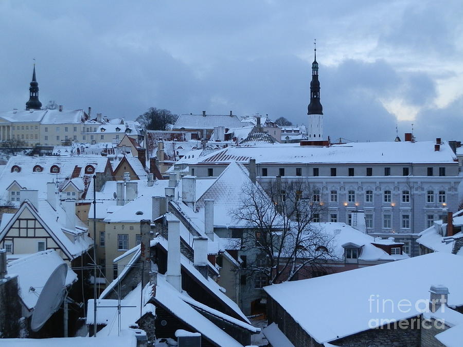 Tallin Old Town skyline Photograph by Art By Margaret