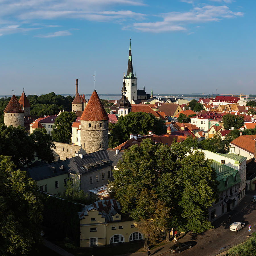 Tallinn old town in Summer Photograph by Tim Clark