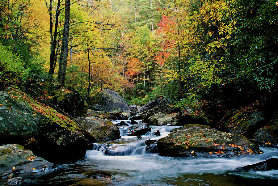 Tallulah River Photograph by James LaValley