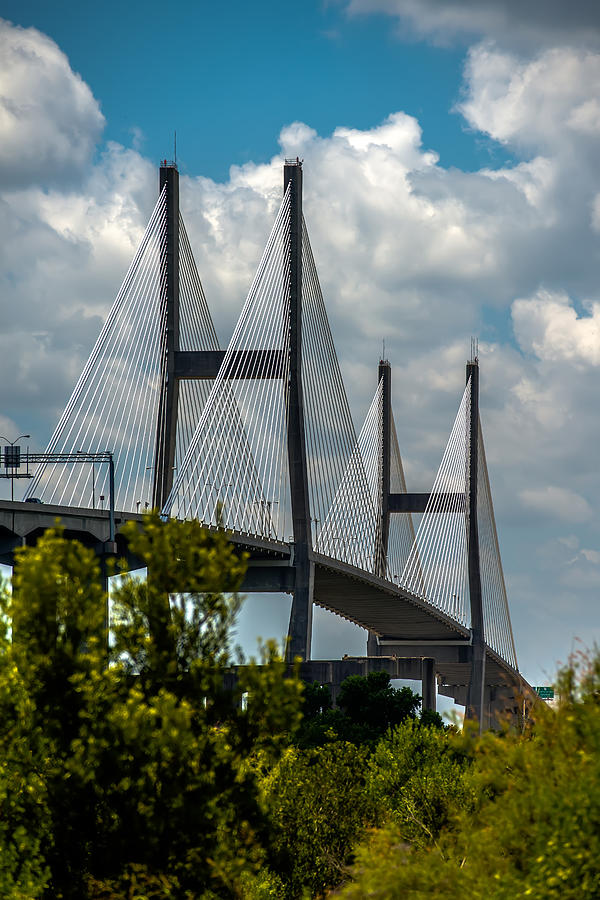 Talmadge Memorial Bridge In Savannah Georgia Photograph By Alex   Talmadge Memorial Bridge In Savannah Georgia Alexandr Grichenko 