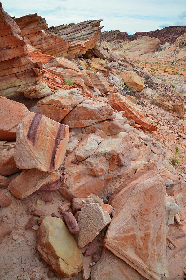 Talus Slope Color in Valley of Fire Photograph by Ray Mathis