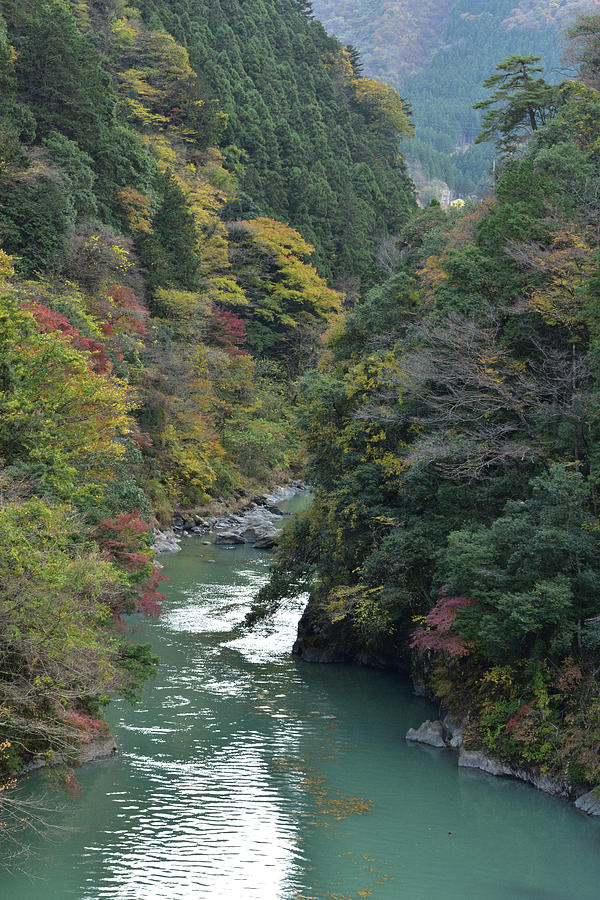 Tama River Photograph by Joshua Utley - Fine Art America