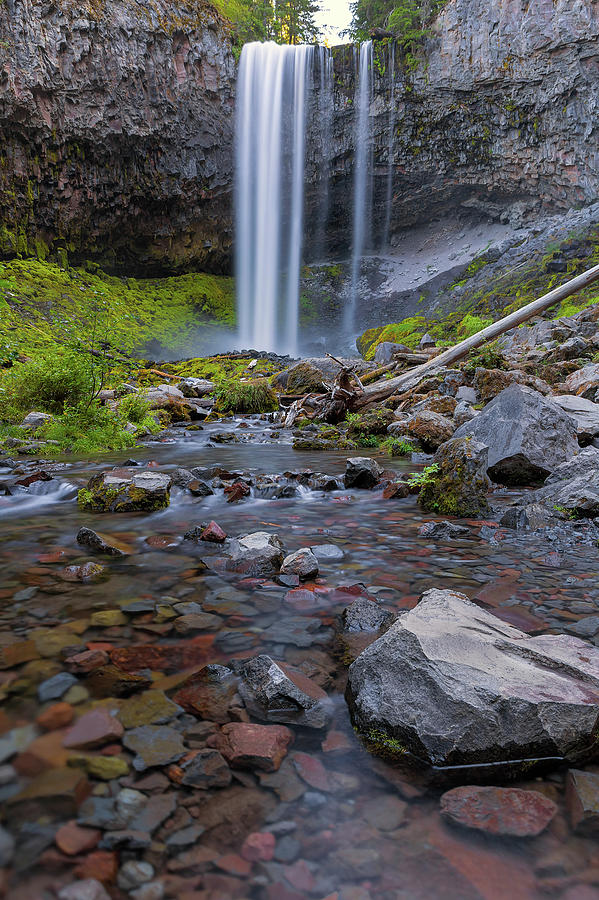 Tamanawas Falls along Cold Spring Creek in Oregon Photograph by David Gn