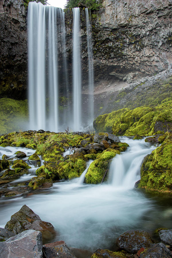 Tamanawas Falls Photograph by Lindsay Coffey - Fine Art America