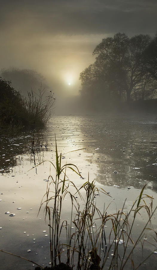 Tamar River winter  Sunrise, England Photograph by Maggie Mccall