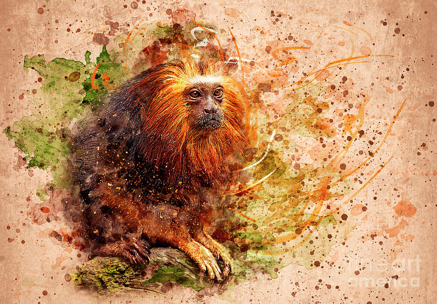 Tamarin Lion Monkey Painting by Svetlana Sewell