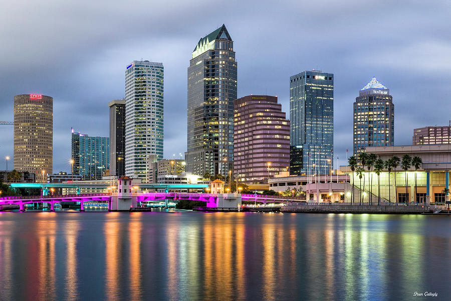 Tampa After Dark Photograph by Fran Gallogly