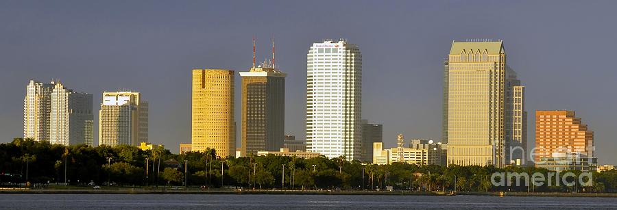 Tampa and Bayshore Photograph by David Lee Thompson