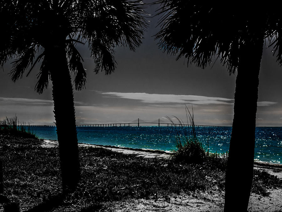 Tampa Bay Blue Photograph by Randy Sylvia