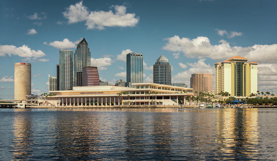 Tampa Bay Photograph By Shannon Branson - Fine Art America