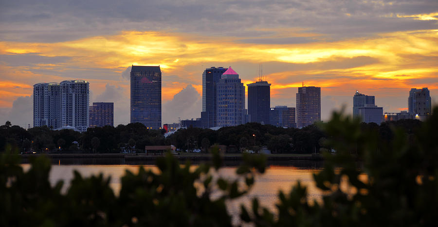 Tampa Florida from Mckay Bay Photograph by David Lee Thompson