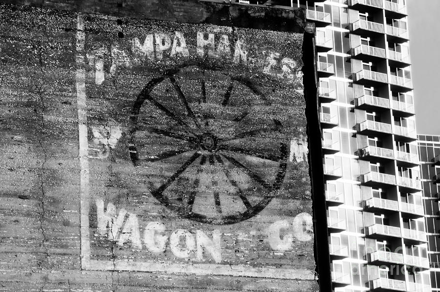 Sign Photograph - Tampa Harness Wagon N Company by David Lee Thompson