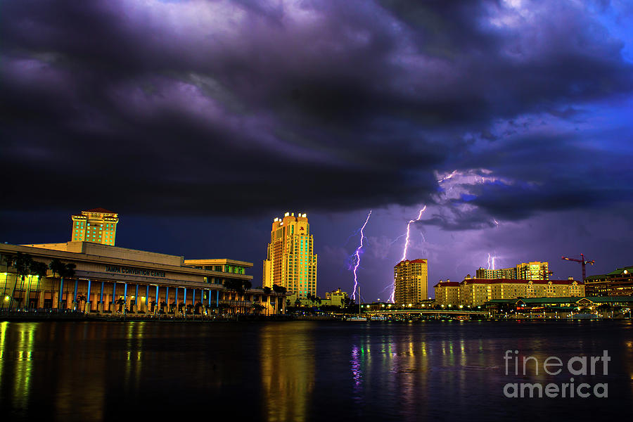 Tampa Lightning Photograph by Quinn Sedam