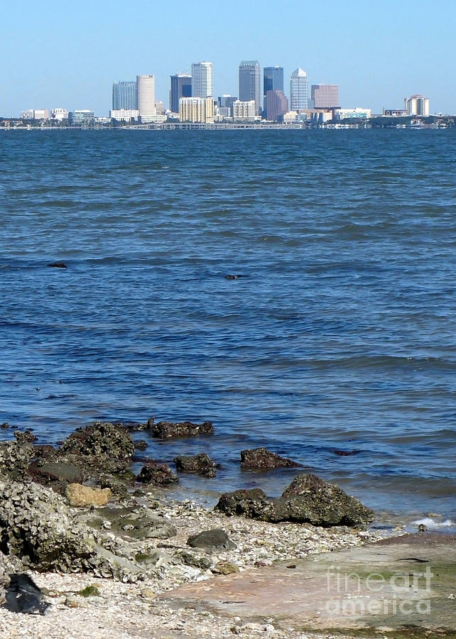 Tampa Photograph - Tampa Skyline from Ballast Point by Carol Groenen