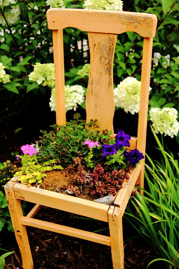 Tan Chair Planter Photograph by Allen Nice-Webb
