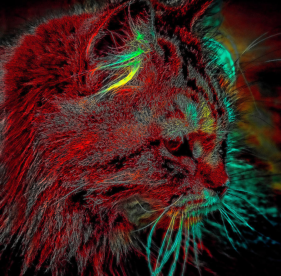 Cat Digital Art - Tangarine in Red by Cathy Harper