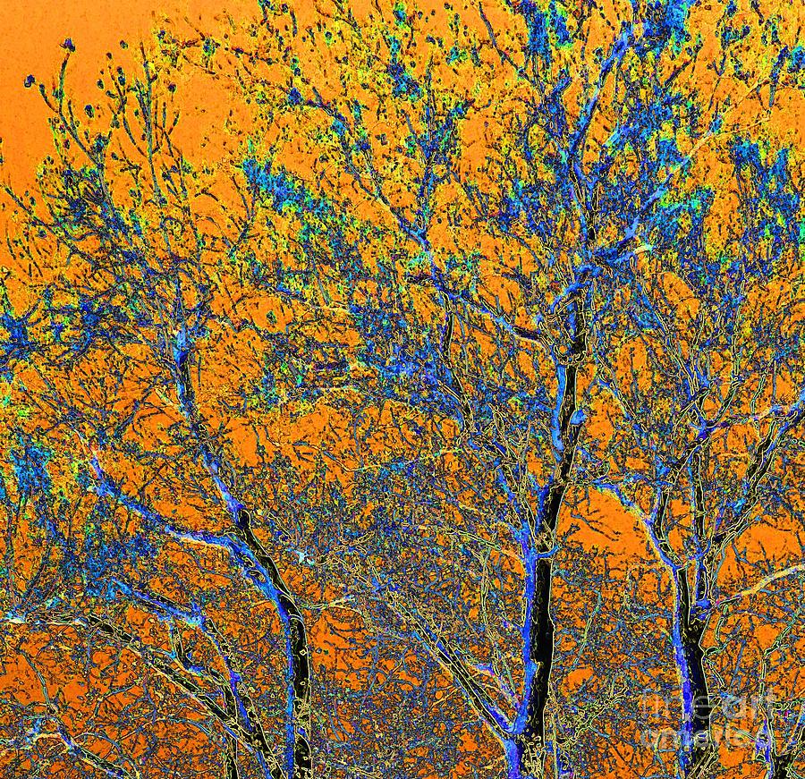 Tangerine Light Digital Art by Ann Johndro-Collins