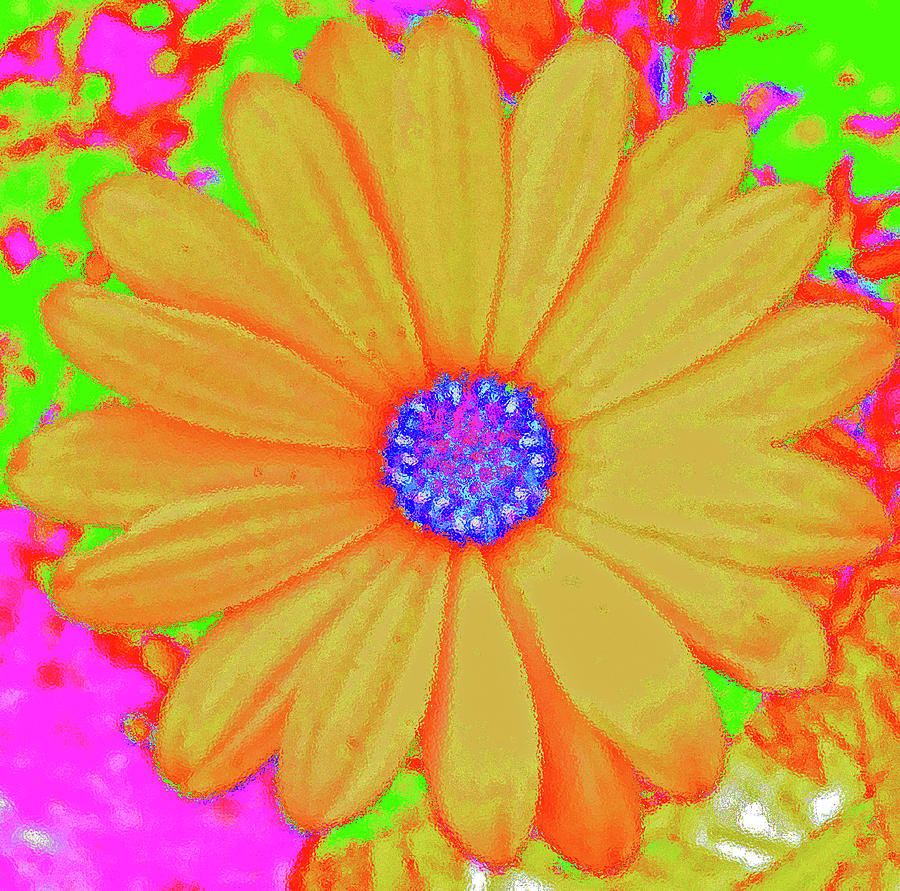 Tangerine Sunshine Digital Art by Ann Johndro-Collins