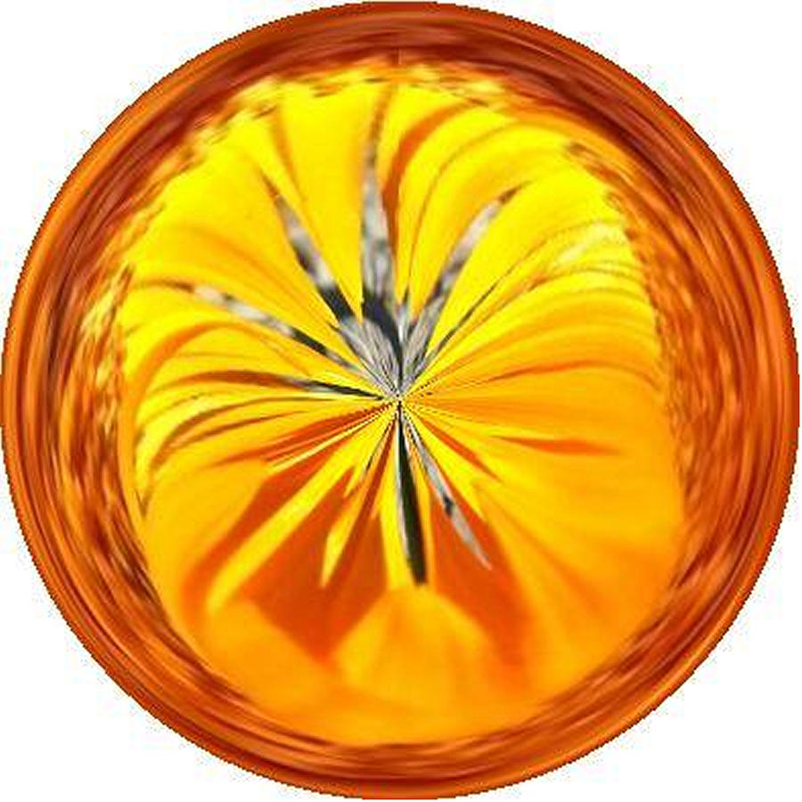 Tangerine Digital Art By William Goodson Fine Art America 4694