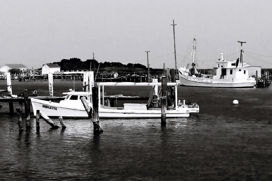 Black And White Photograph - Tangier Island 3 by Alan Hausenflock