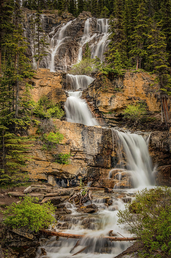 Tangle Falls Creek, Jasper National Park Photograph by Yves Gagnon