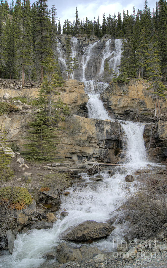 Tangle Falls in Jasper National Park, Canada Photograph by David Birchall