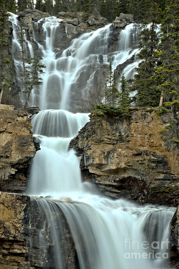 Tangle Falls Spring Portrait Photograph by Adam Jewell