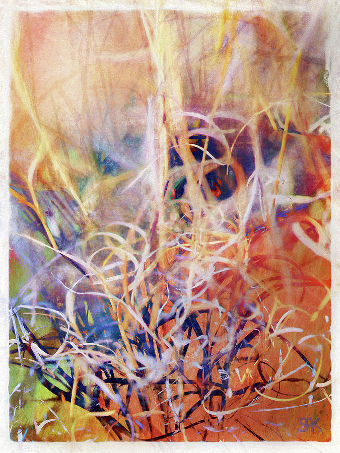 Tangled Desert Grass on a Windy Day Abstract Photograph by Sheryl Karas