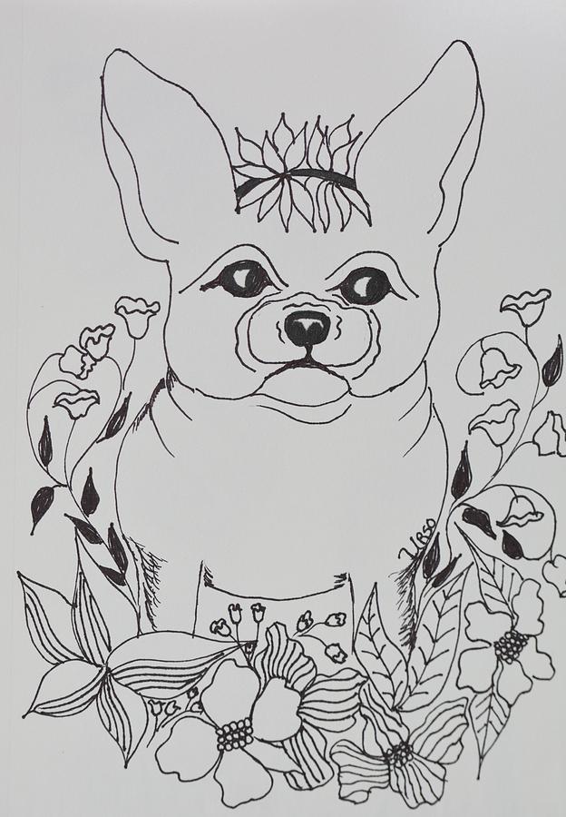 Tangled Frenchie Drawing by Maria Urso