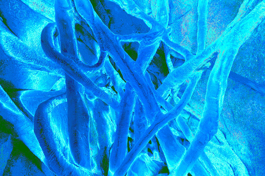 Tangled up in blue Mixed Media by David Lee Thompson