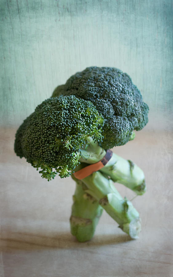 Broccoli Photograph - Tango Dip by Maggie Terlecki