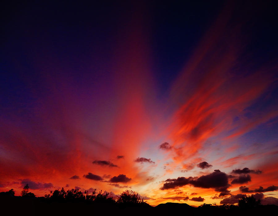 Tangy Sunset Photograph by Mark Blauhoefer