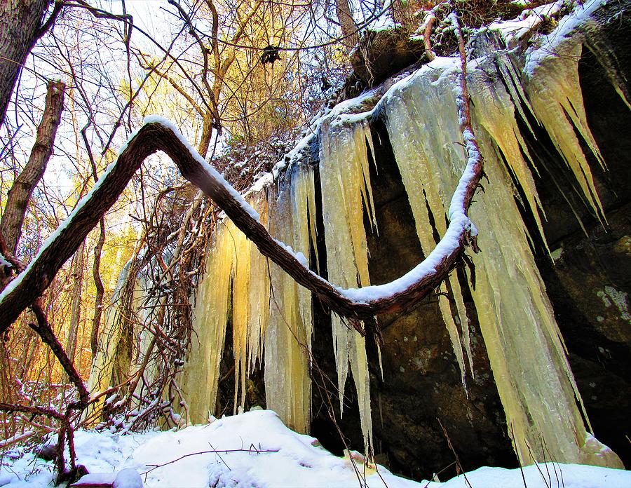 Tanic Icicles Photograph by Joshua Bales