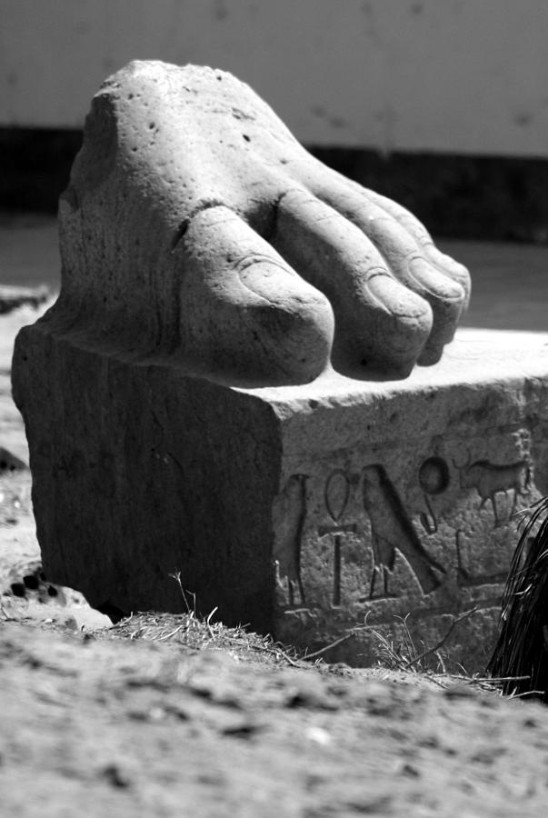 Tanis Foot Photograph by Donna Corless