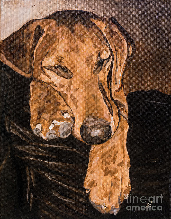 Dog Painting - Tanner in Repose by Jackie MacNair