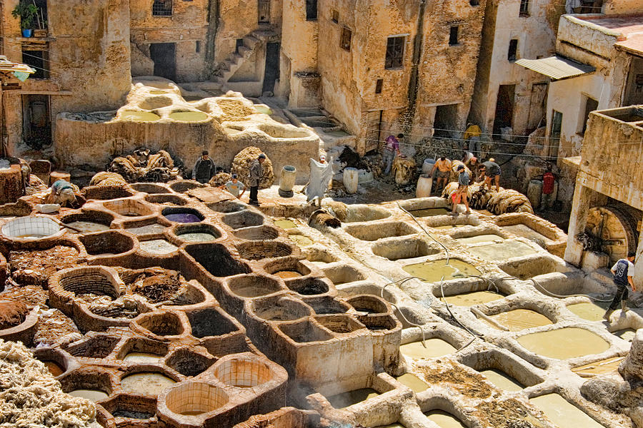 Animal Photograph - Tanneries of Fes Morroco by David Smith