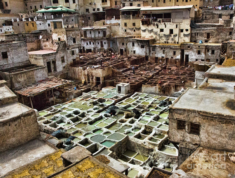 Tannery Fes Morocco Color  Photograph by Chuck Kuhn