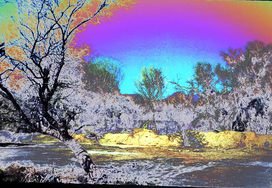 Tanque Verde Wash abstract Photograph by M Diane Bonaparte