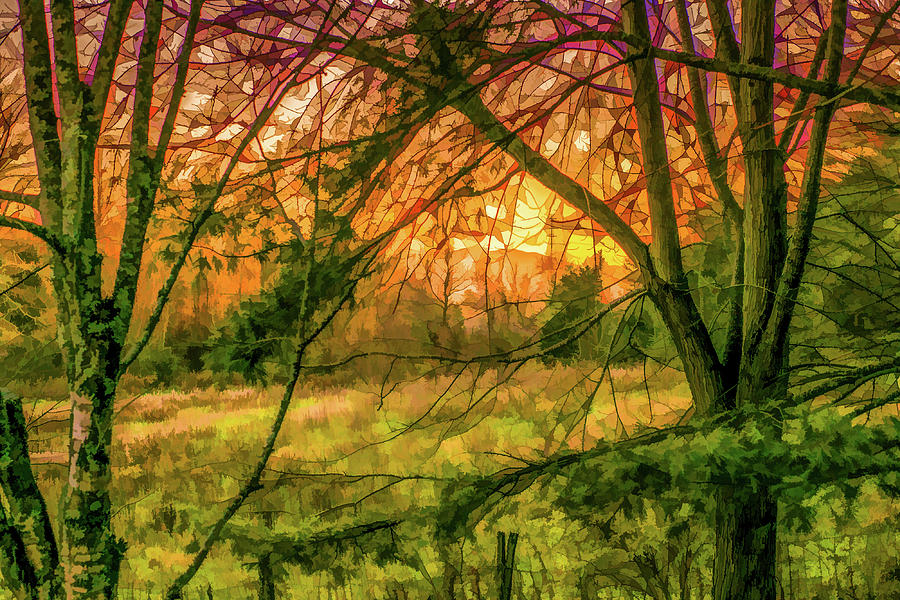 Tree Digital Art - Tantalizing Twilight by Lisa Lemmons-Powers
