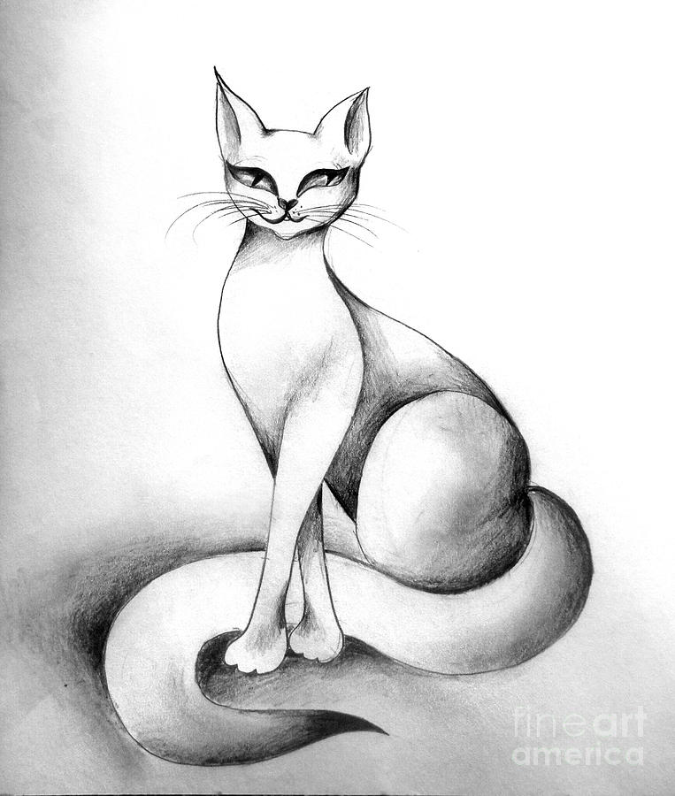 Cat Drawing - Tanya the Cat. Shorthaired kitty by Sofia Goldberg