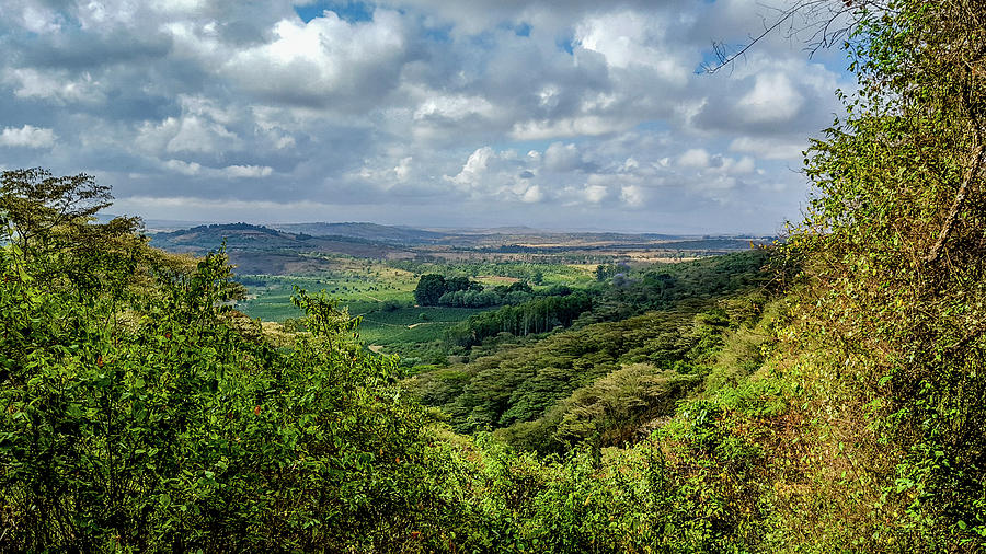 Tanzania Landscape Photograph by Marilyn Burton