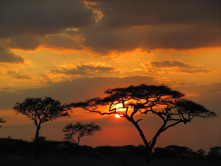 Tanzanian Sunset Photograph by Judith Turner - Fine Art America