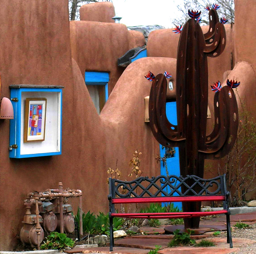 Taos Cactus Photograph by Kathleen Stephens