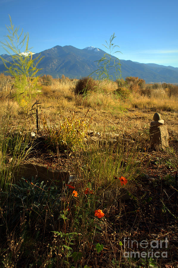 Nature Photograph - Taos landscape by Anjanette Douglas